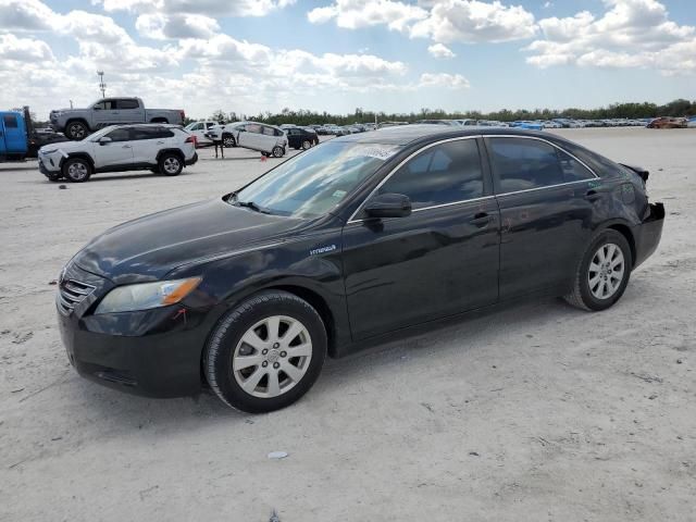 2009 Toyota Camry Hybrid