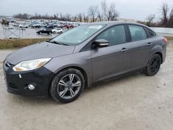 Ford Focus salvage cars for sale: 2013 Ford Focus SE