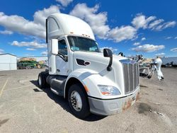 Peterbilt 579 salvage cars for sale: 2016 Peterbilt 579