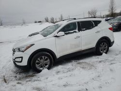 Hyundai Santa fe salvage cars for sale: 2014 Hyundai Santa FE Sport