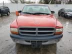 2001 Dodge Dakota