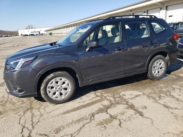 2022 Subaru Forester