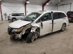 Honda Vehiculos salvage en venta: 2014 Honda Odyssey EXL