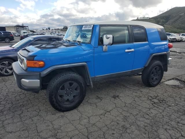 2007 Toyota FJ Cruiser