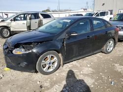 Ford salvage cars for sale: 2014 Ford Focus SE