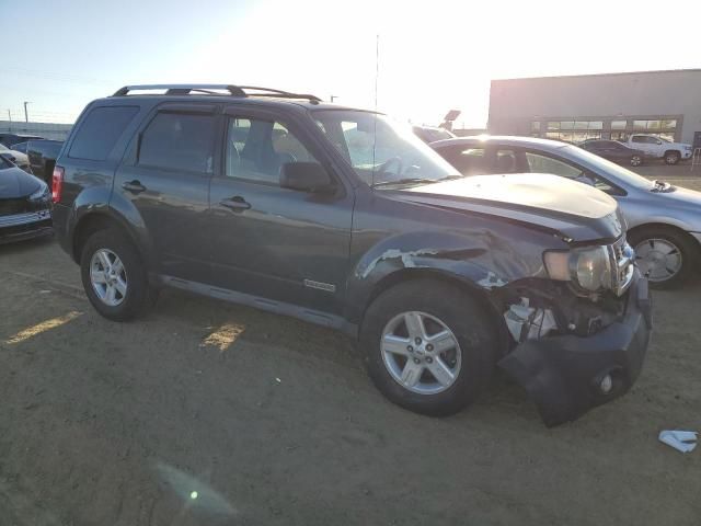 2008 Ford Escape HEV