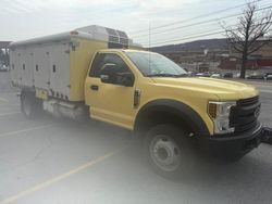 2019 Ford F550 Super Duty for sale in York Haven, PA