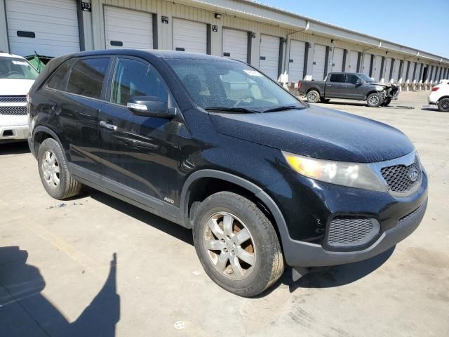 2011 KIA Sorento Base