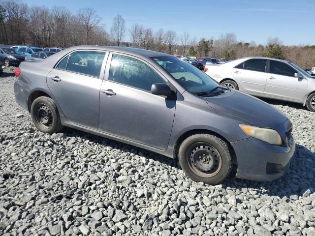 2010 Toyota Corolla Base