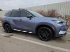 2024 Infiniti QX60 Autograph