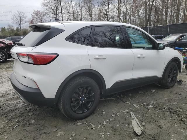 2020 Ford Escape SE Sport