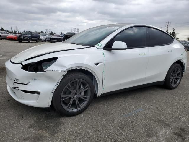 2025 Tesla Model Y