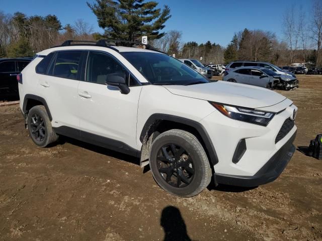 2023 Toyota Rav4 LE