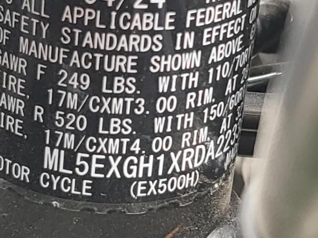 2024 Kawasaki EX500 H