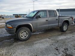 2003 Dodge Dakota Quad Sport for sale in Nisku, AB