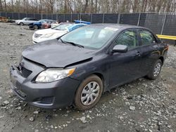 Toyota Corolla salvage cars for sale: 2010 Toyota Corolla Base