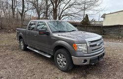 2014 Ford F150 Supercrew for sale in Kansas City, KS