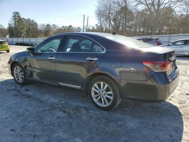 2010 Lexus ES 350