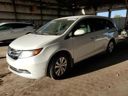 Honda Odyssey salvage cars for sale: 2016 Honda Odyssey SE