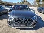 2021 Audi SQ5 Premium Plus