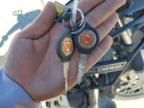 2018 Royal Enfield Motors Himalayan