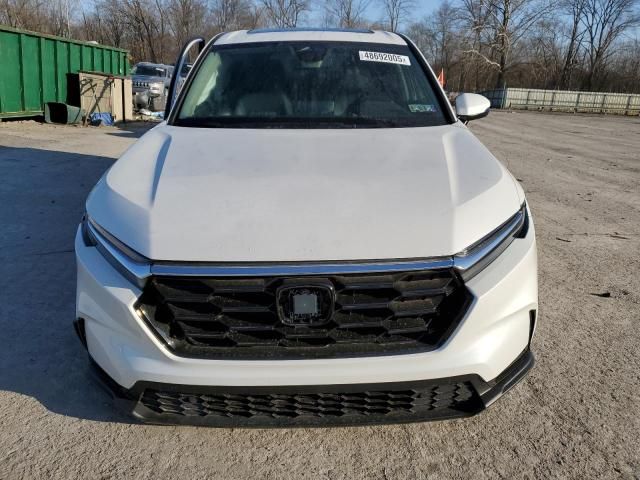 2025 Honda CR-V EXL