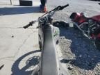 2024 Kawasaki KLX300 C