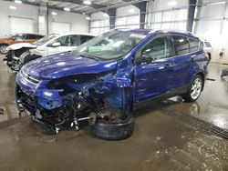 Vehiculos salvage en venta de Copart Ham Lake, MN: 2014 Ford Escape Titanium