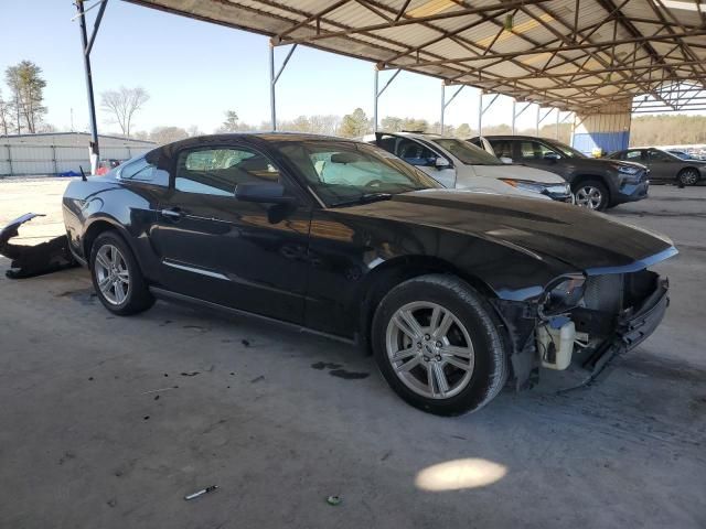 2010 Ford Mustang