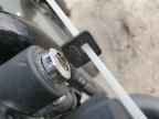 2019 Harley-Davidson XL883 N