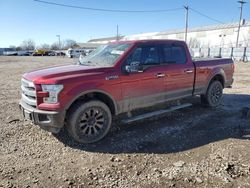 Ford salvage cars for sale: 2016 Ford F150 Supercrew