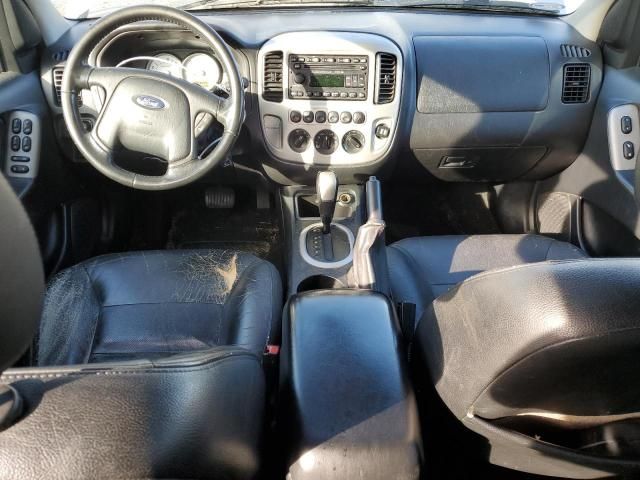 2007 Ford Escape Limited