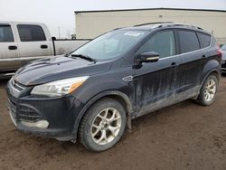 Ford Escape Titanium salvage cars for sale: 2013 Ford Escape Titanium