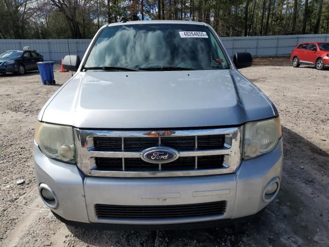 2010 Ford Escape XLT