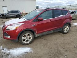 2015 Ford Escape SE for sale in Portland, MI