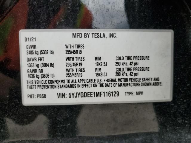 2021 Tesla Model Y