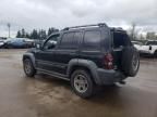 2005 Jeep Liberty Renegade