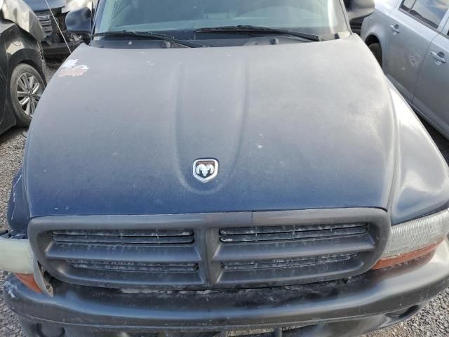 2002 Dodge Dakota Base