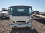 2019 Isuzu NQR Truck Cab AND Chassis