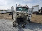 2017 Peterbilt 389 Semi Truck