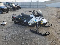 Skidoo Snowmobile salvage cars for sale: 2017 Skidoo 2017 Skidoo MXZ TNT