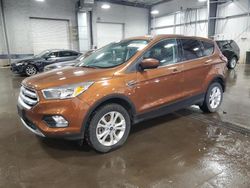 2017 Ford Escape SE for sale in Ham Lake, MN