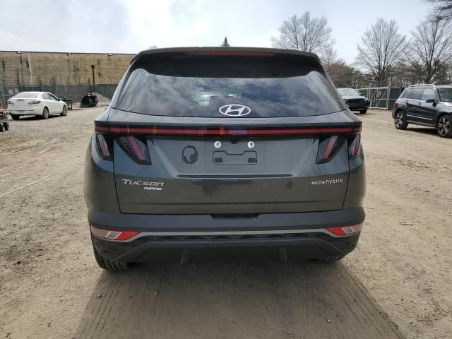 2024 Hyundai Tucson SEL Convenience