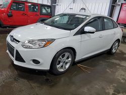 Vehiculos salvage en venta de Copart Ham Lake, MN: 2014 Ford Focus SE