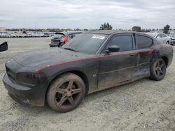 Dodge salvage cars for sale: 2010 Dodge Charger SXT