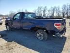 2009 Ford F150