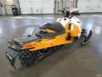 2017 Skidoo 2017 Skidoo Renegade