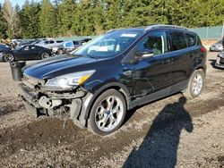 Ford Escape salvage cars for sale: 2013 Ford Escape Titanium