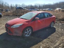 Ford salvage cars for sale: 2013 Ford Focus SE