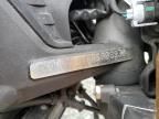 2024 Ducati Monster